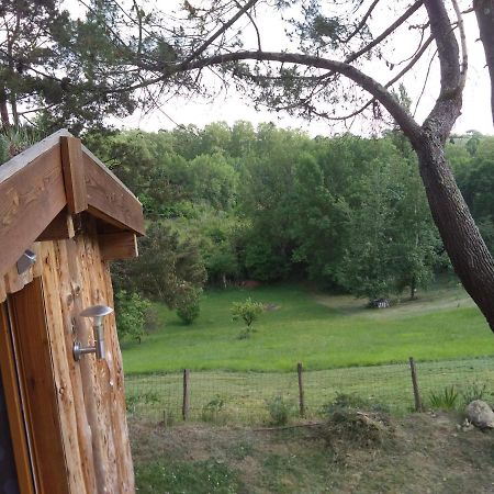 La Cabane En Bois Villemur-sur-Tarn Ngoại thất bức ảnh