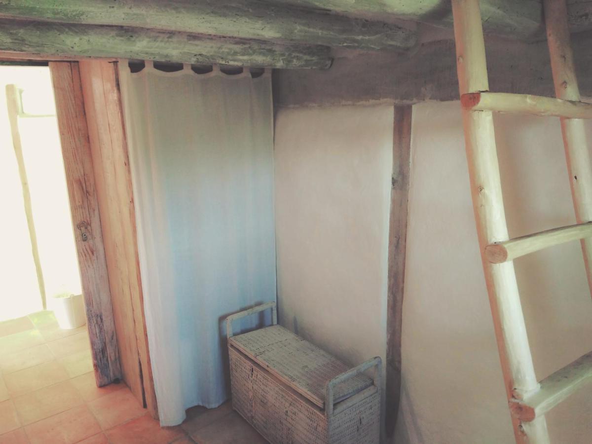 La Cabane En Bois Villemur-sur-Tarn Ngoại thất bức ảnh