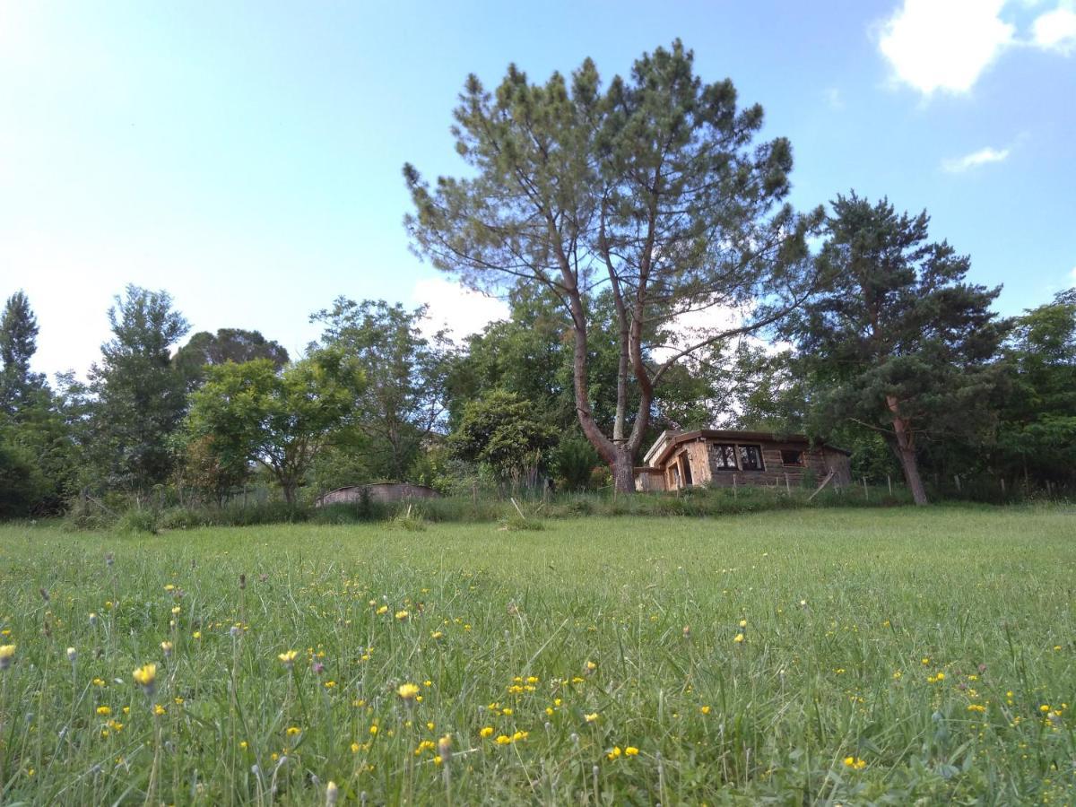 La Cabane En Bois Villemur-sur-Tarn Ngoại thất bức ảnh