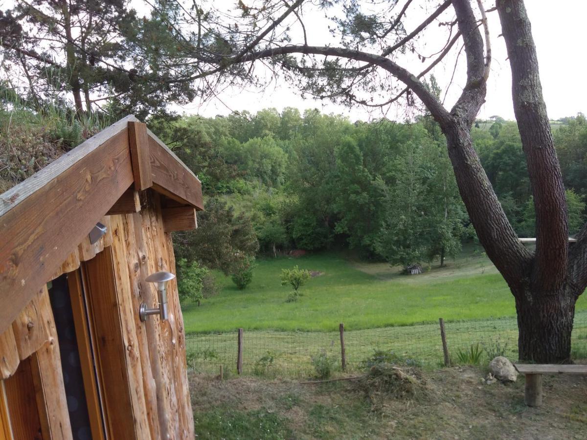 La Cabane En Bois Villemur-sur-Tarn Ngoại thất bức ảnh